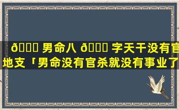 🍀 男命八 🐘 字天干没有官杀地支「男命没有官杀就没有事业了吗」